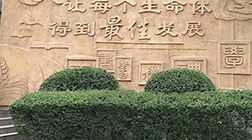 【景觀雕塑廠家】制作，多少錢，價(jià)格